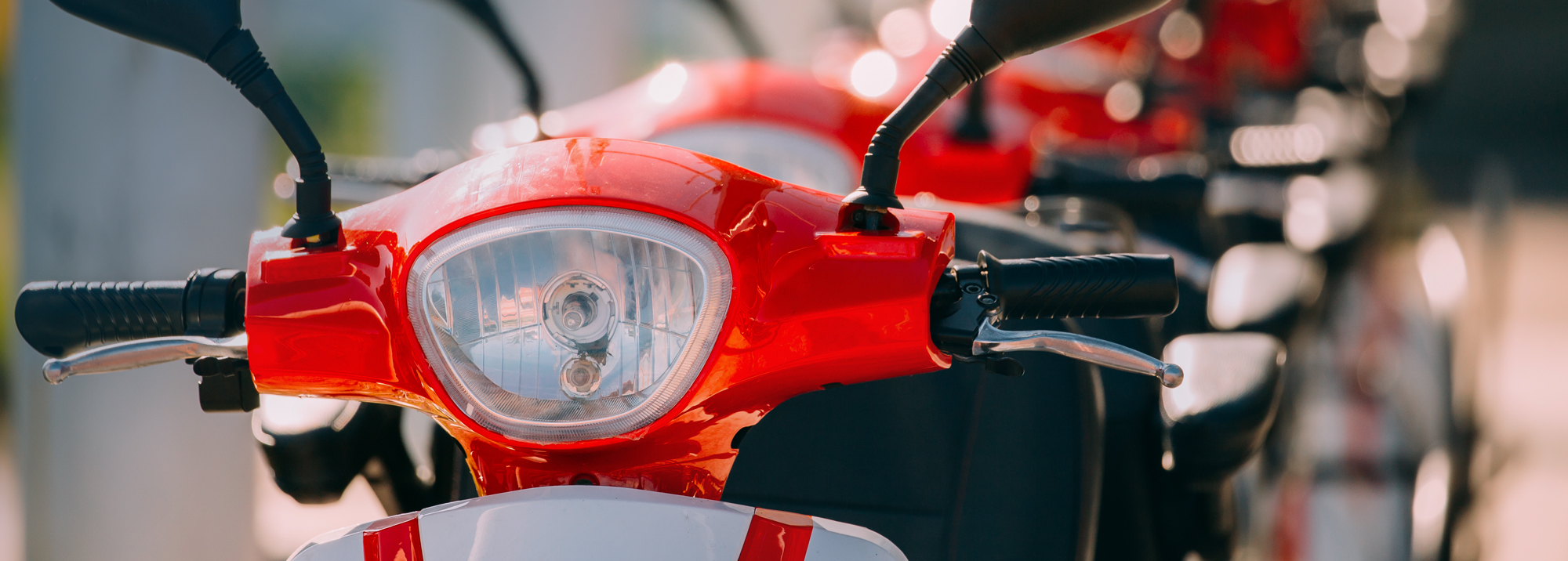 Electric Bike Batteries